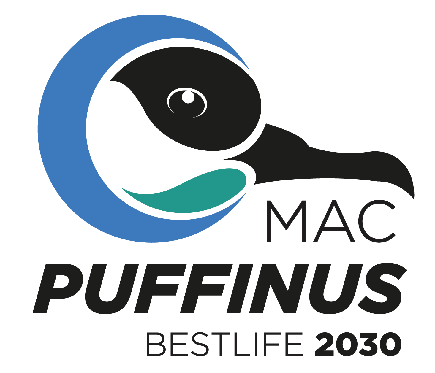 MAC PUFFINUS BESTLIFE 2030 01