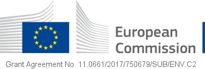 european commission MSII