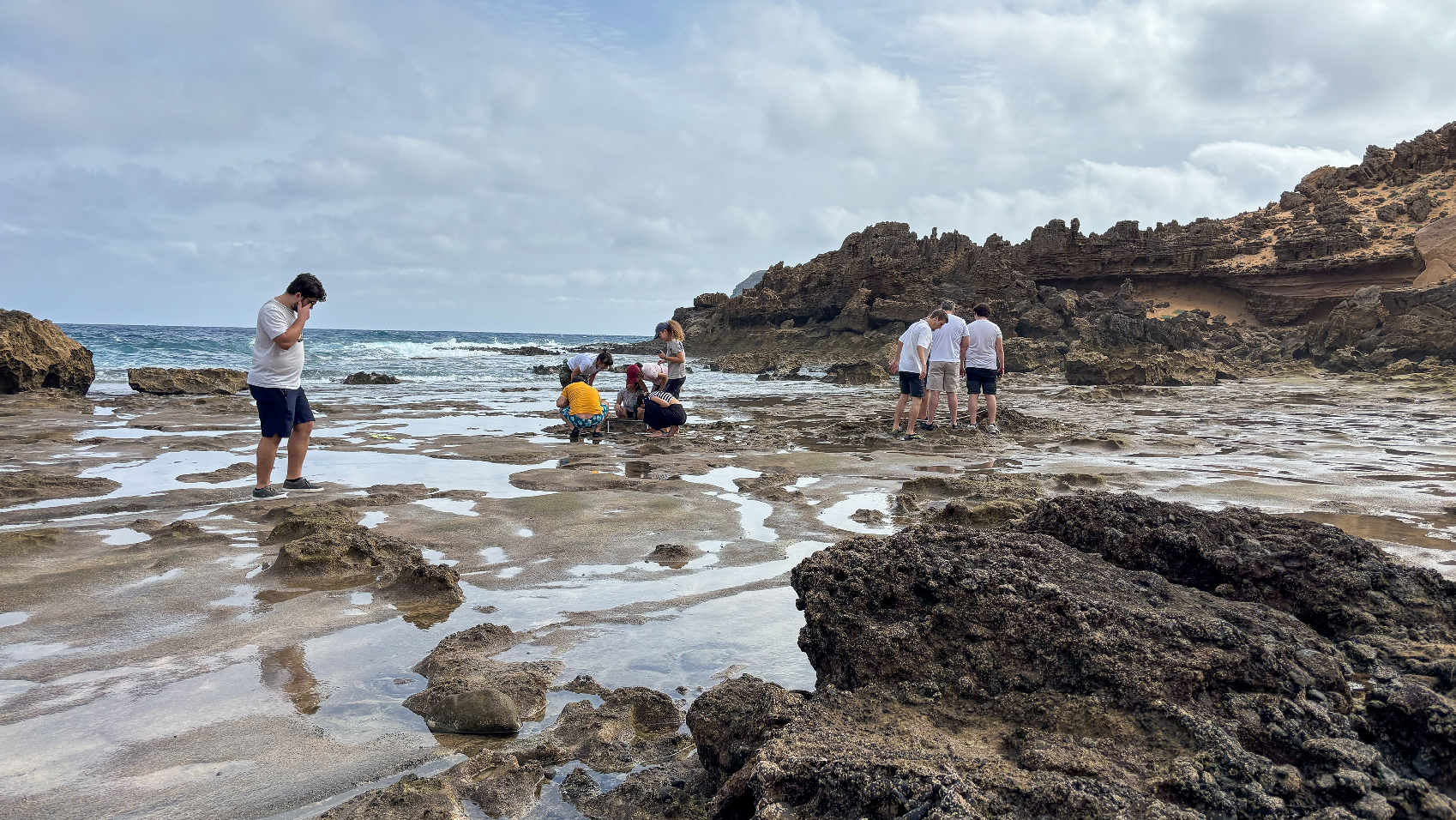 MARE-Madeira leva estudantes a explorar a biodiversidade marinha no Porto Santo