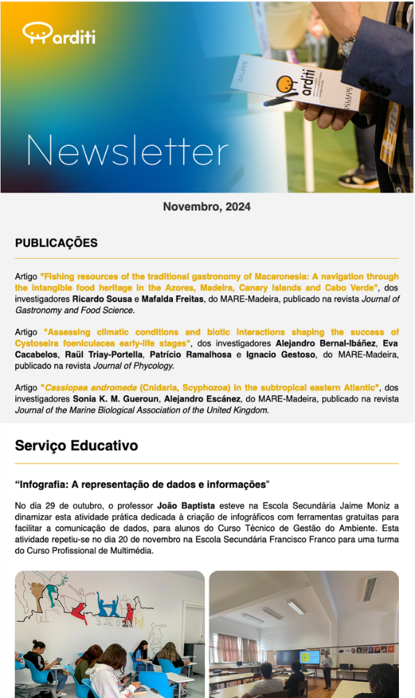 Newsletter Novembro 2024