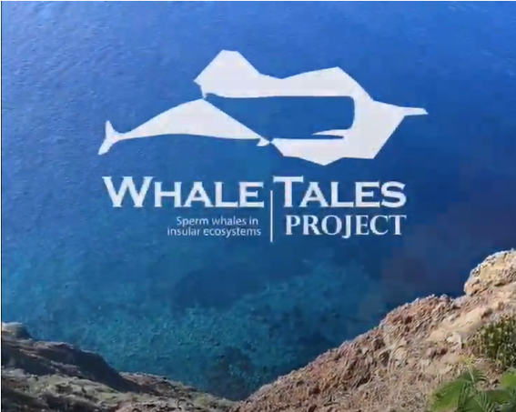 Terceiro vídeo de divulgação do projeto Whale Tales 