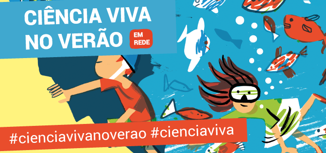verao 2019 newsletter